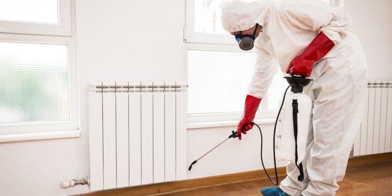 Termite Treatment in Ankeny, Iowa