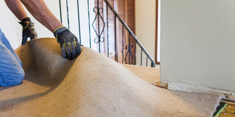 Carpet Removal in West Des Moines, Iowa