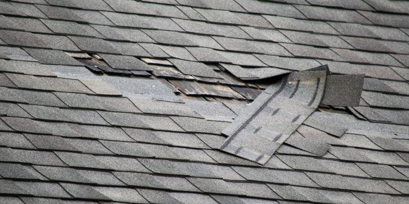 Fix Leaking Roof in Ankeny, Iowa