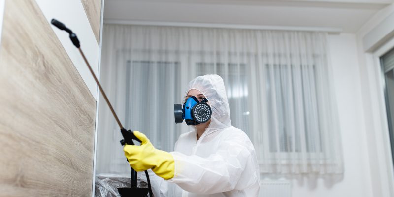 Exterminator in Ankeny, Iowa