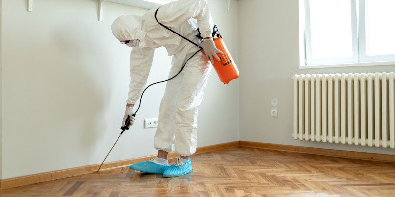 Quality Termite Treatment